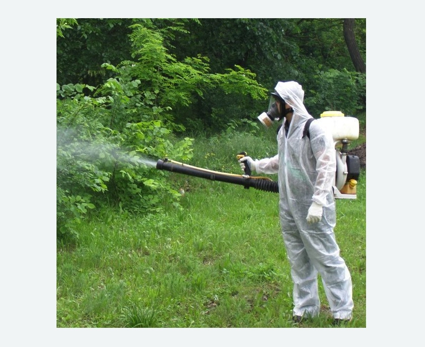 обработка дачи от клещей обработка территории от клещей в Новомосковске