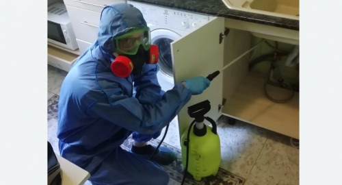 Уничтожение муравьев в квартире. Новомосковск