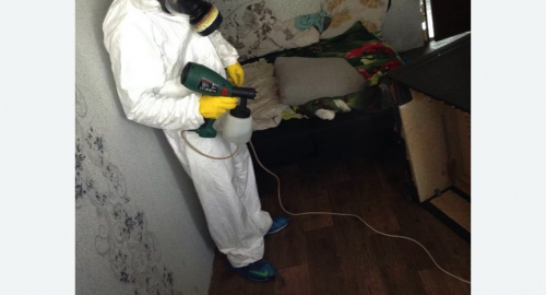 Обработка квартир от насекомых в Новомосковске