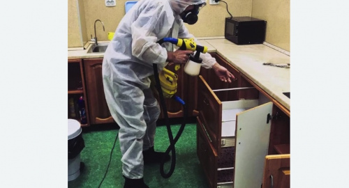 Дезинсекция квартиры. Новомосковск