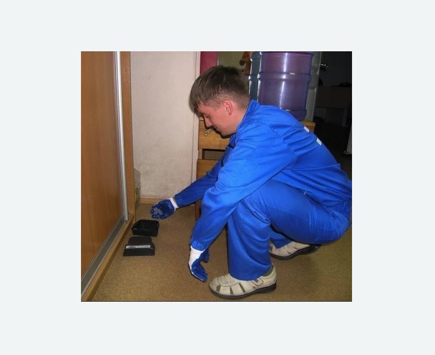 Дератизация крыс в Новомосковске