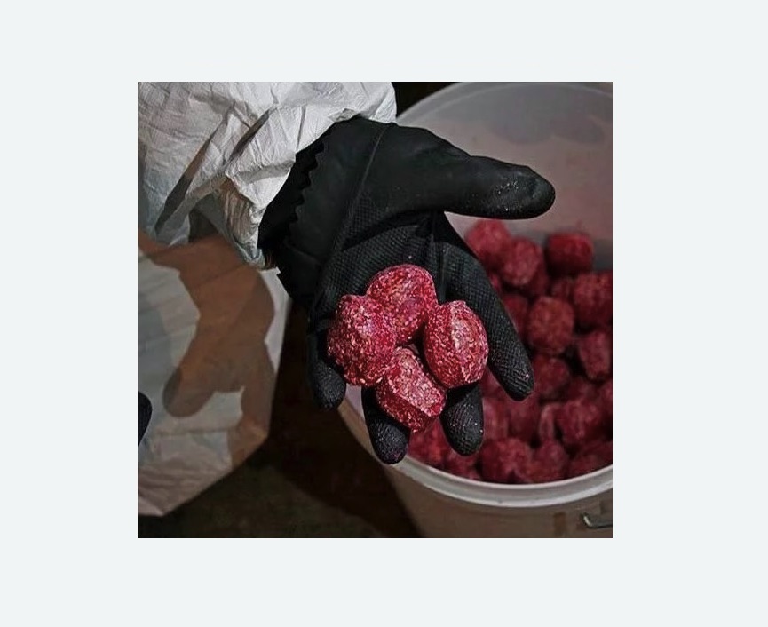 Обработка от крыс в Новомосковске