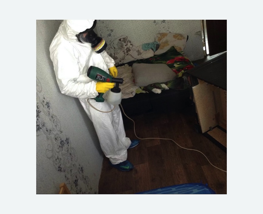 Обработка от насекомых в Новомосковске Обработка квартиры от насекомых