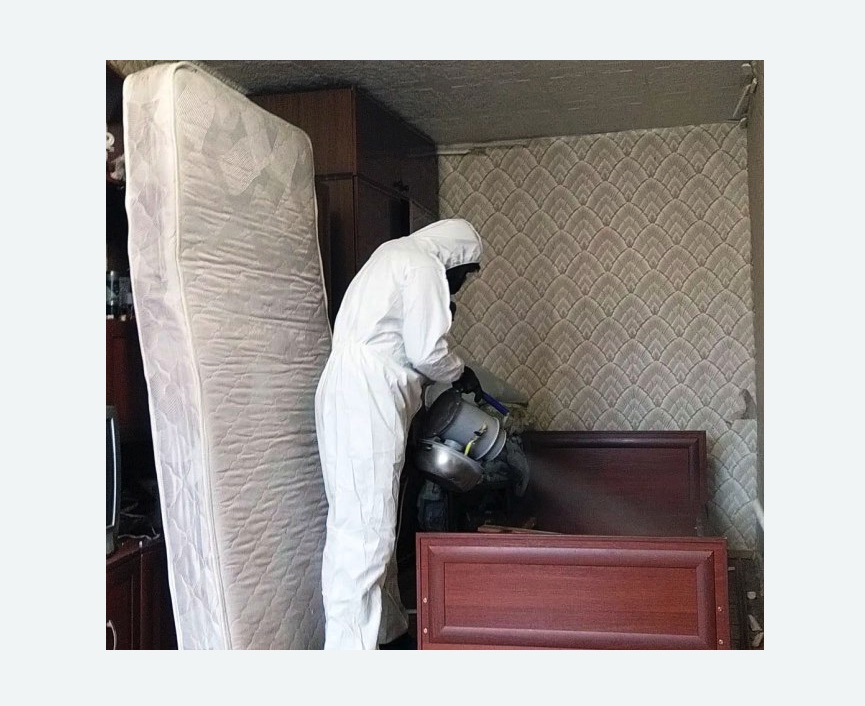 дезинфекция от клопов в Новомосковске