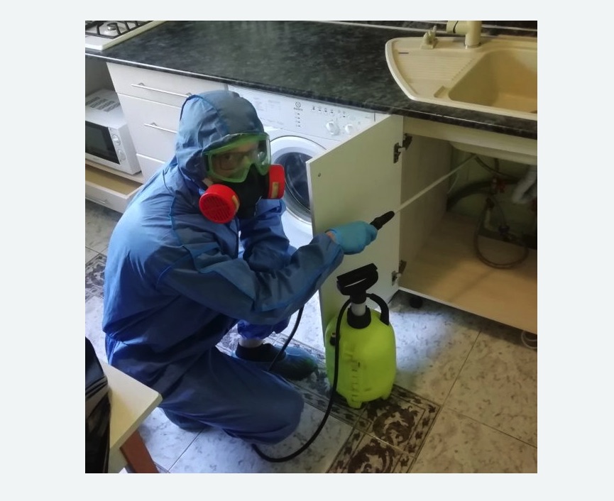 обработка от муравьев в квартире в Новомосковске