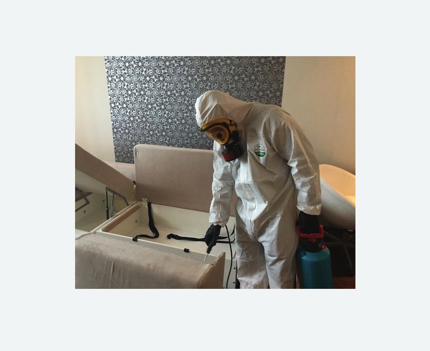 уничтожение клопов в квартире в Новомосковске