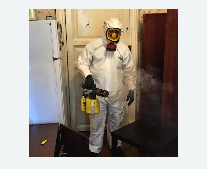 уничтожение муравьев в квартире в Новомосковске